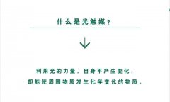 甲醛治理公司行业内幕